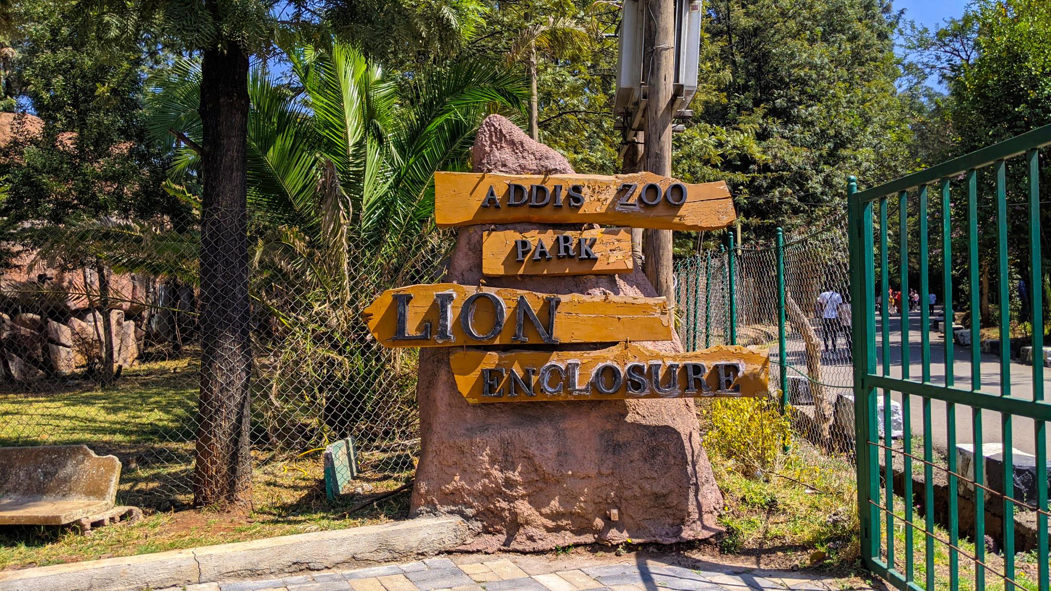 Addis Zoo Park | Anbessa Gibi 6 kilo picture